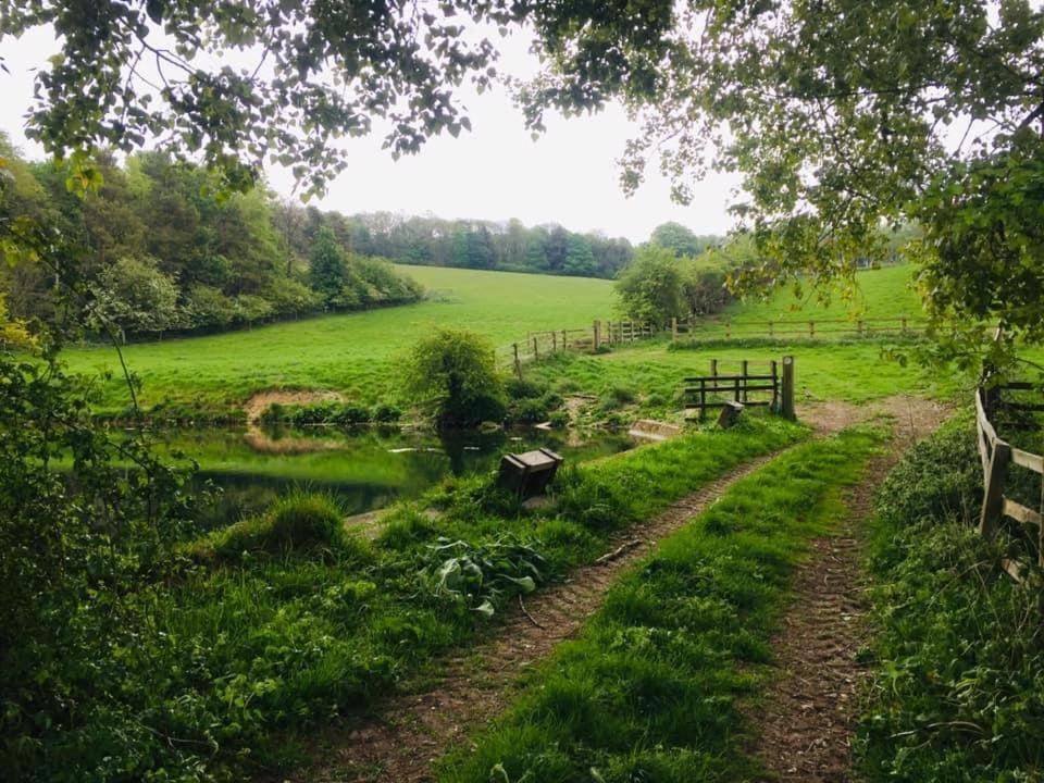 Holly Cottage, Hidden Gem In The Yorkshire Wolds Welton  Exterior photo